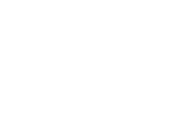 Čištění Bureš